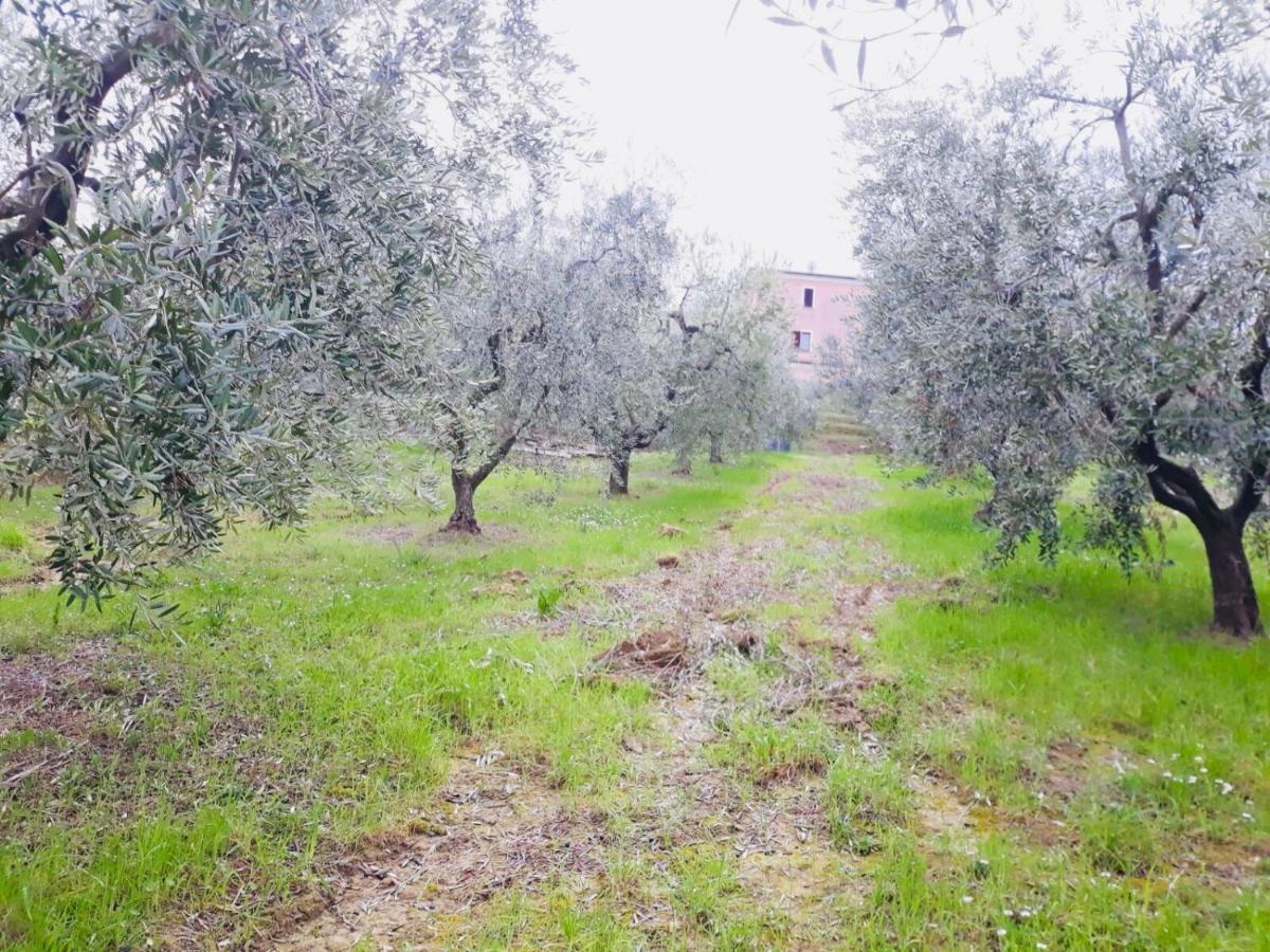 Ellebi B&B Montone  Dış mekan fotoğraf