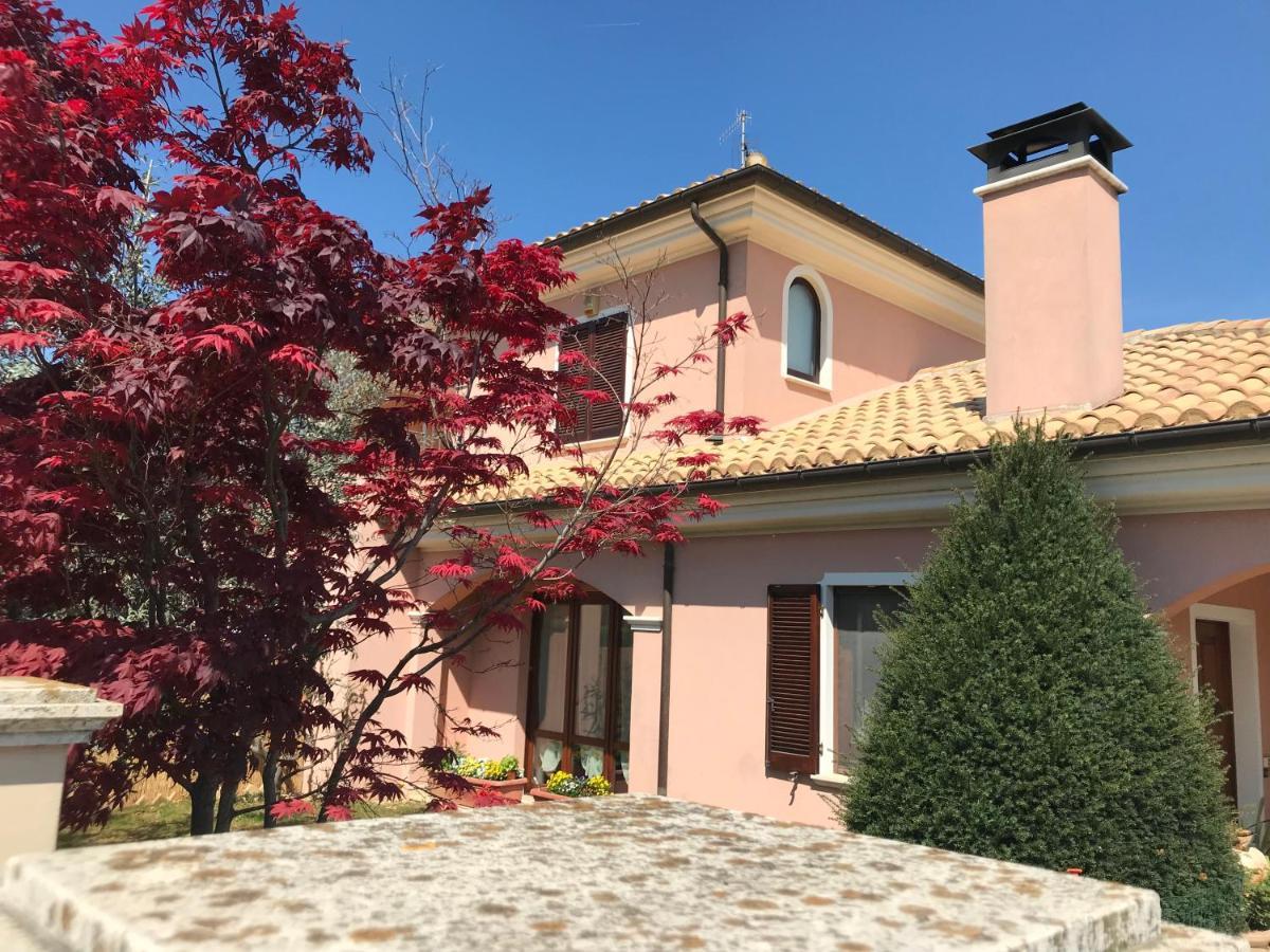 Ellebi B&B Montone  Dış mekan fotoğraf